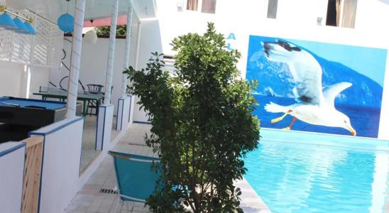 Альбатрос - 10