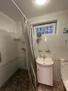 Кипарис на Красноармейском - 15