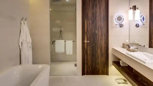 Hyatt Regency Andares Guadalajara - 88