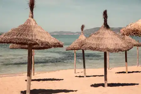 Cook's Club Palma Beach - 16