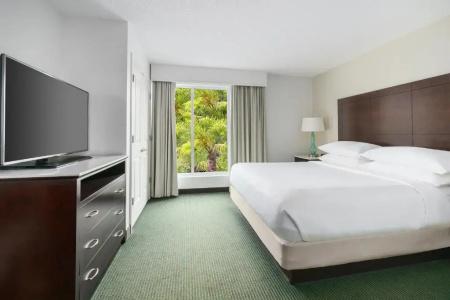 Embassy Suites by Hilton- Lake Buena Vista Resort - 49