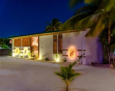 Dhiffushi White Sand Beach - 22