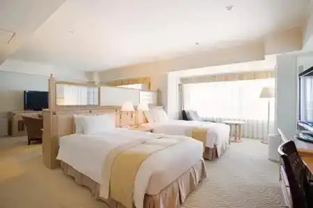 Nikko Kansai Airport - 3 mins walk to the airport - 50