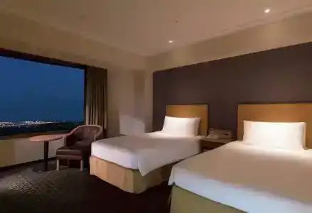 Hilton Tokyo Narita Airport - 42