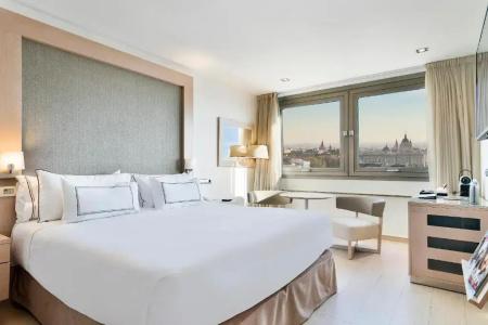 Melia Madrid Princesa - 42