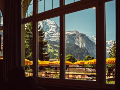Belvédère Wengen - 34