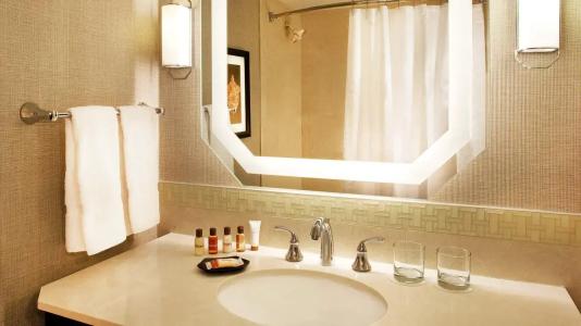 Sheraton New Orleans - 55