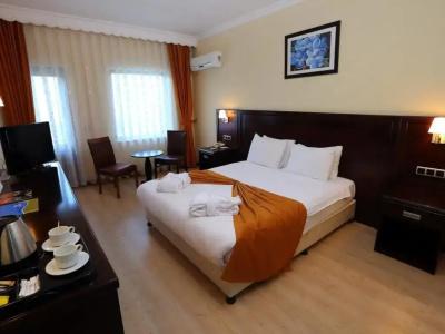 Eser Diamond Spa & Convention Center İstanbul - 20