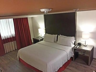 Holiday Inn Buenavista, An Ihg - 53