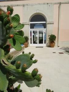 Masseria Bandino - 13