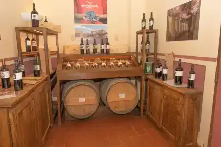 San Lino - 17