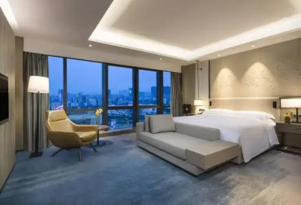 DoubleTree by Hilton Shenzhen Longhua - 63