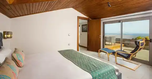 Molino - 52