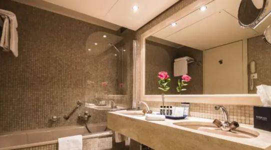 Royal Plaza Montreux - 90