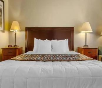 Quality Inn Denver Downtown - 41