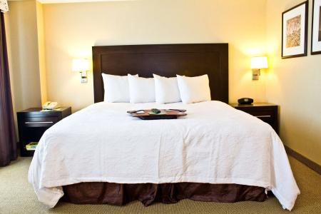 Hampton Inn & Suites Boston Crosstown Center - 41