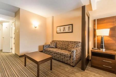 Comfort Suites Downtown - 28