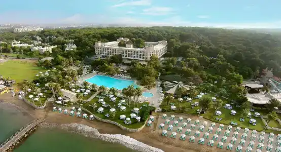 Turquoise - 14