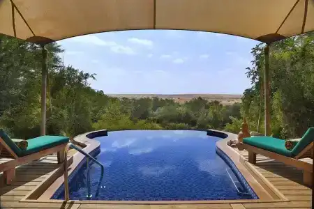 Al Maha, a Luxury Collection Desert Resort & Spa, Dubai - 44