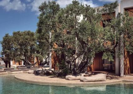 Olea All Suite - 38