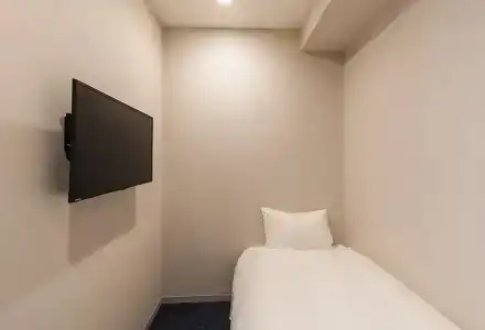 Sotetsu Fresa Inn Tokyo-Akasaka - 46