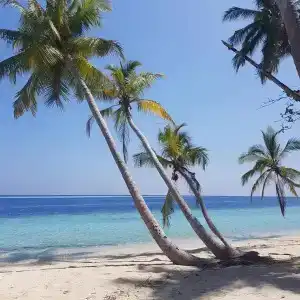 Vaali Beach Lodge Maldives - 23