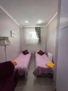 Кипарис на Красноармейском - 9