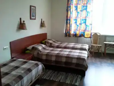 Подсолнух - 3