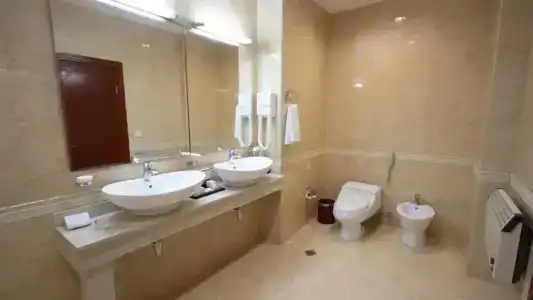 Ramada Plaza by Wyndham Gence - 102