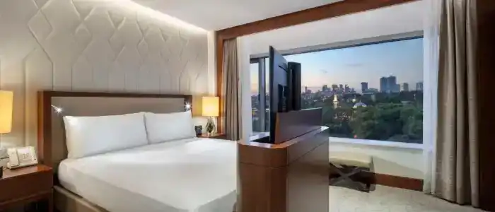 Conrad Istanbul Bosphorus - 54