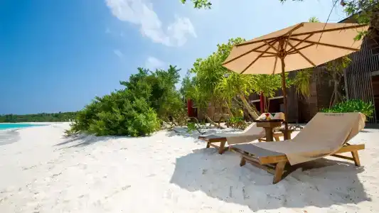 The Barefoot Eco - 72