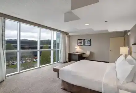 Embassy Suites by Hilton Seattle - 47