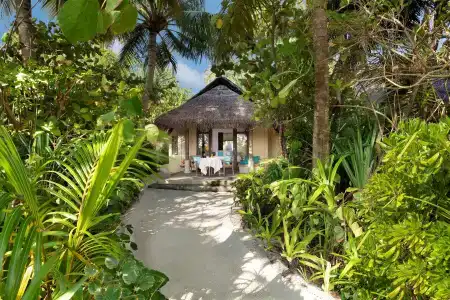 Anantara Dhigu Maldives Resort - 46