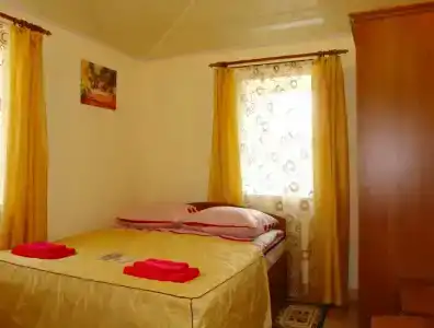 Арена - 1