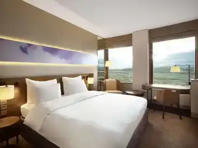 Radisson Blu, Lyon - 31