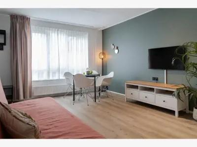 de Duif Lisse - Schiphol - 44