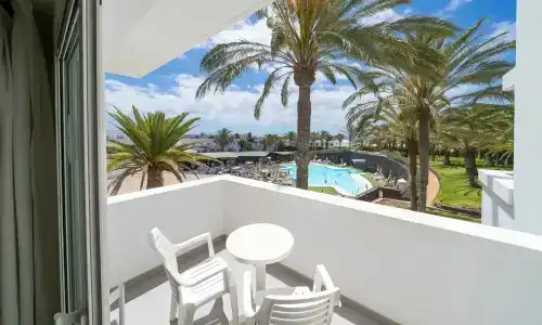 Relaxia Olivina - 28