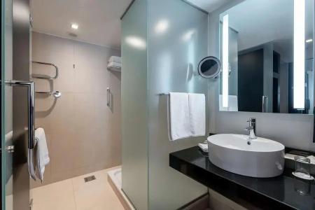 Radisson Blu Elizabete, Riga - 32