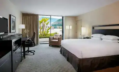 Hilton Anaheim - 51