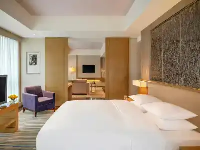 Hyatt Regency Chongqing - 47