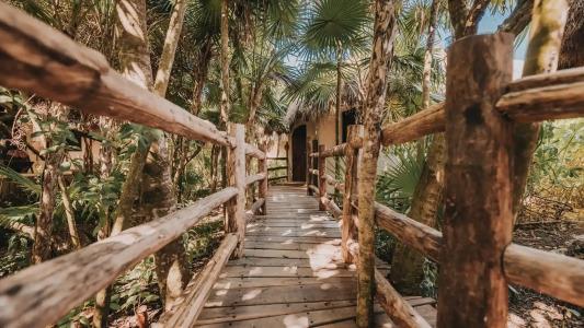 Papaya Playa Project - 59