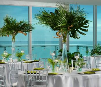 Sole Miami, a Noble House - 28
