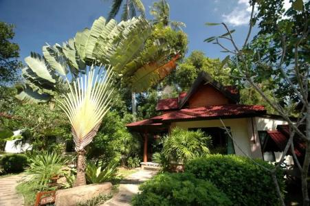 Sand Sea Resort - Sha Extra Plus - 74