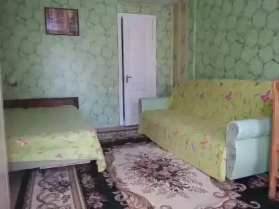 Ольгино - 2