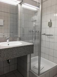 Schweizer Hof - 44