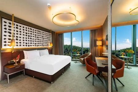 Radisson Blu, Vadistanbul - 41