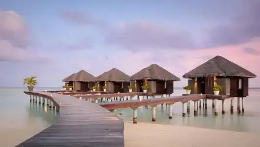 Lux* South Ari Atoll Resort & Villas - 23