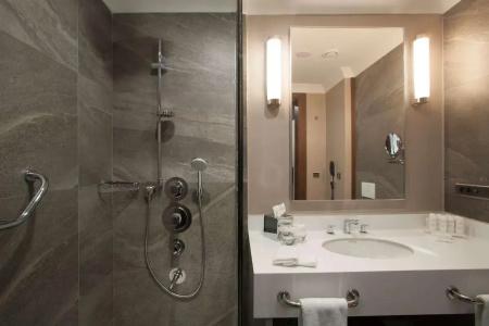 Radisson Blu, Diyarbakir - 28
