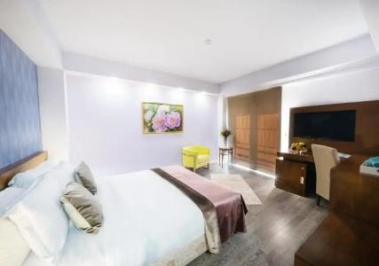Phoenicia Comfort - 24