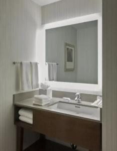 Hilton Garden Inn Long Island City - 53